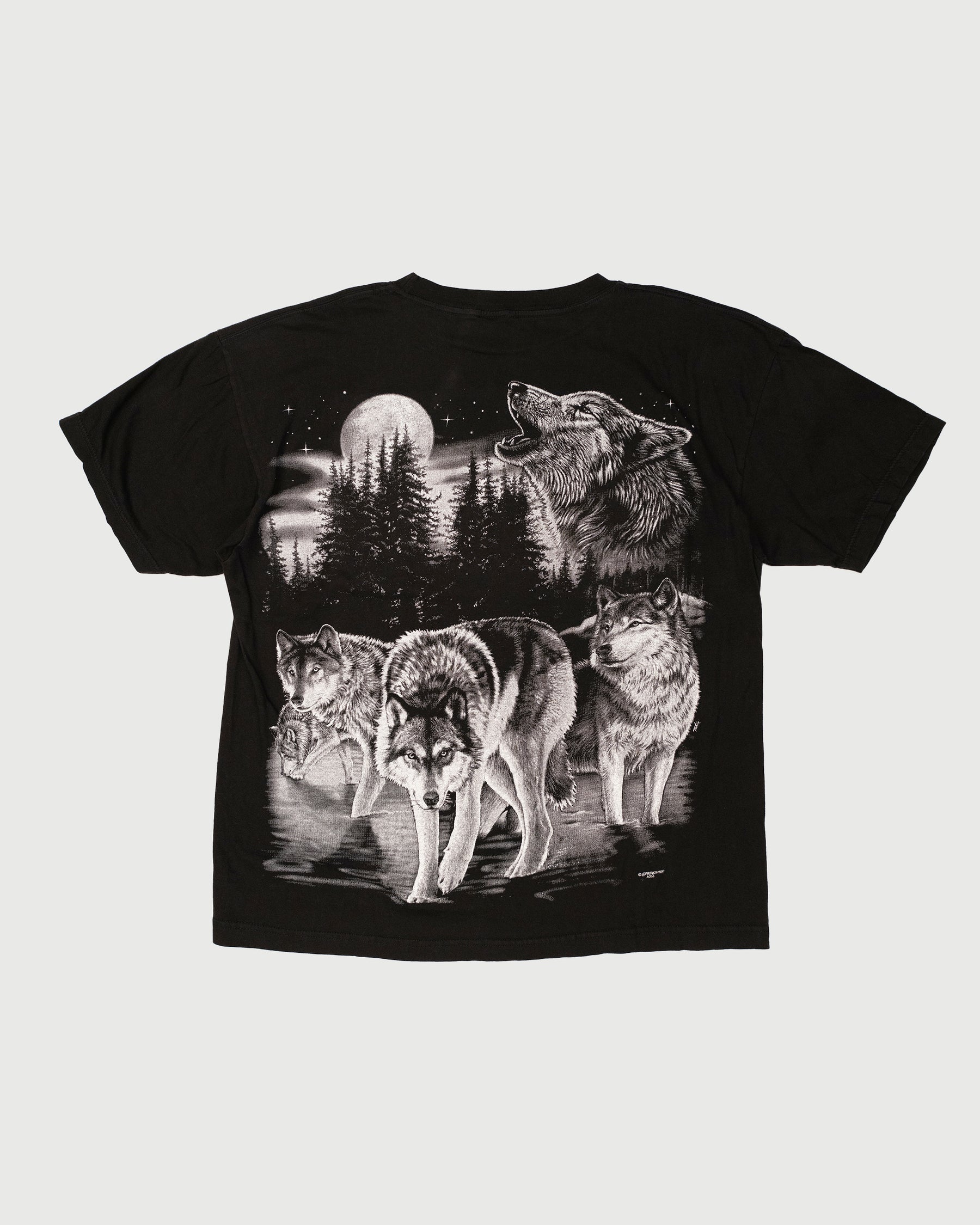VINTAGE NOCTURNAL ANIMALS TEE (L)