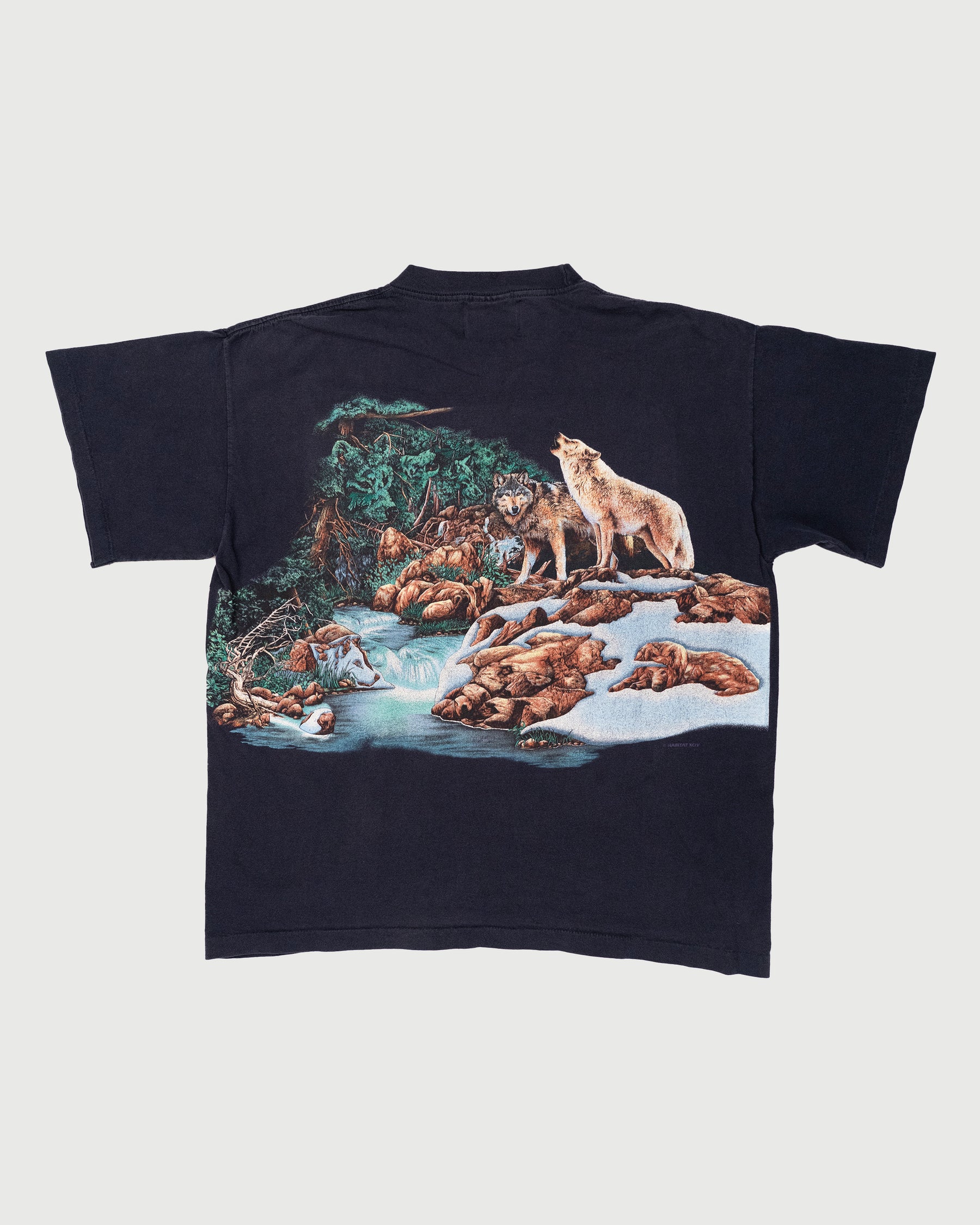 VINTAGE NOCTURNAL ANIMALS TEE (L)