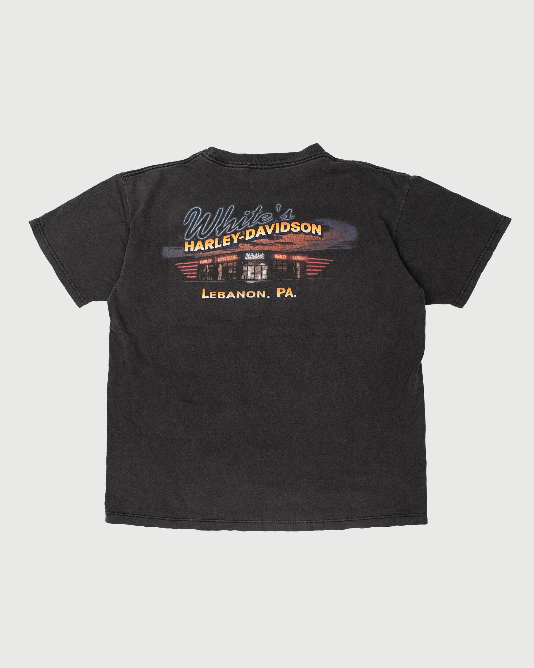 VINTAGE NOCTURNAL ANIMALS TEE (XL)
