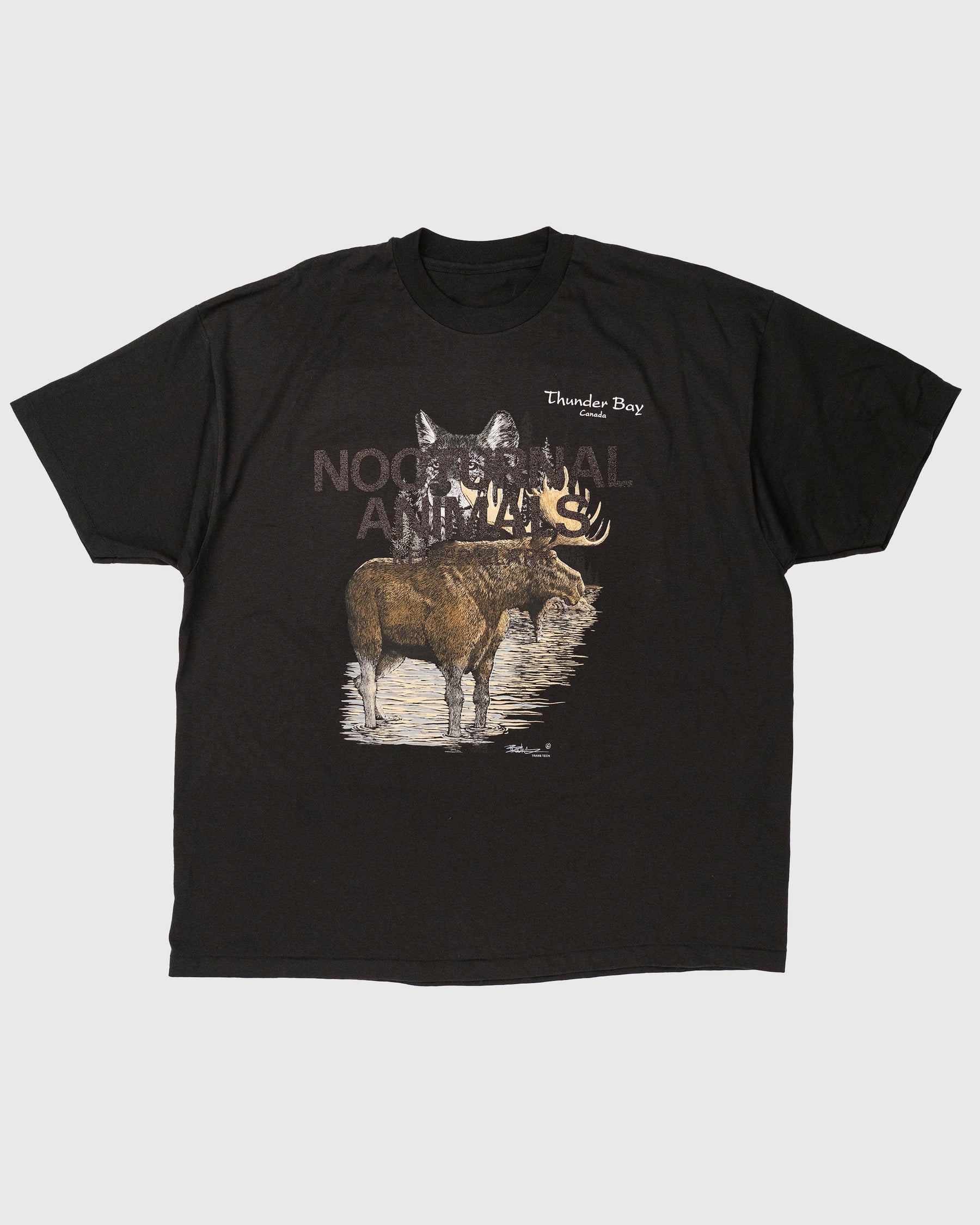 VINTAGE NOCTURNAL ANIMALS TEE (XXL)