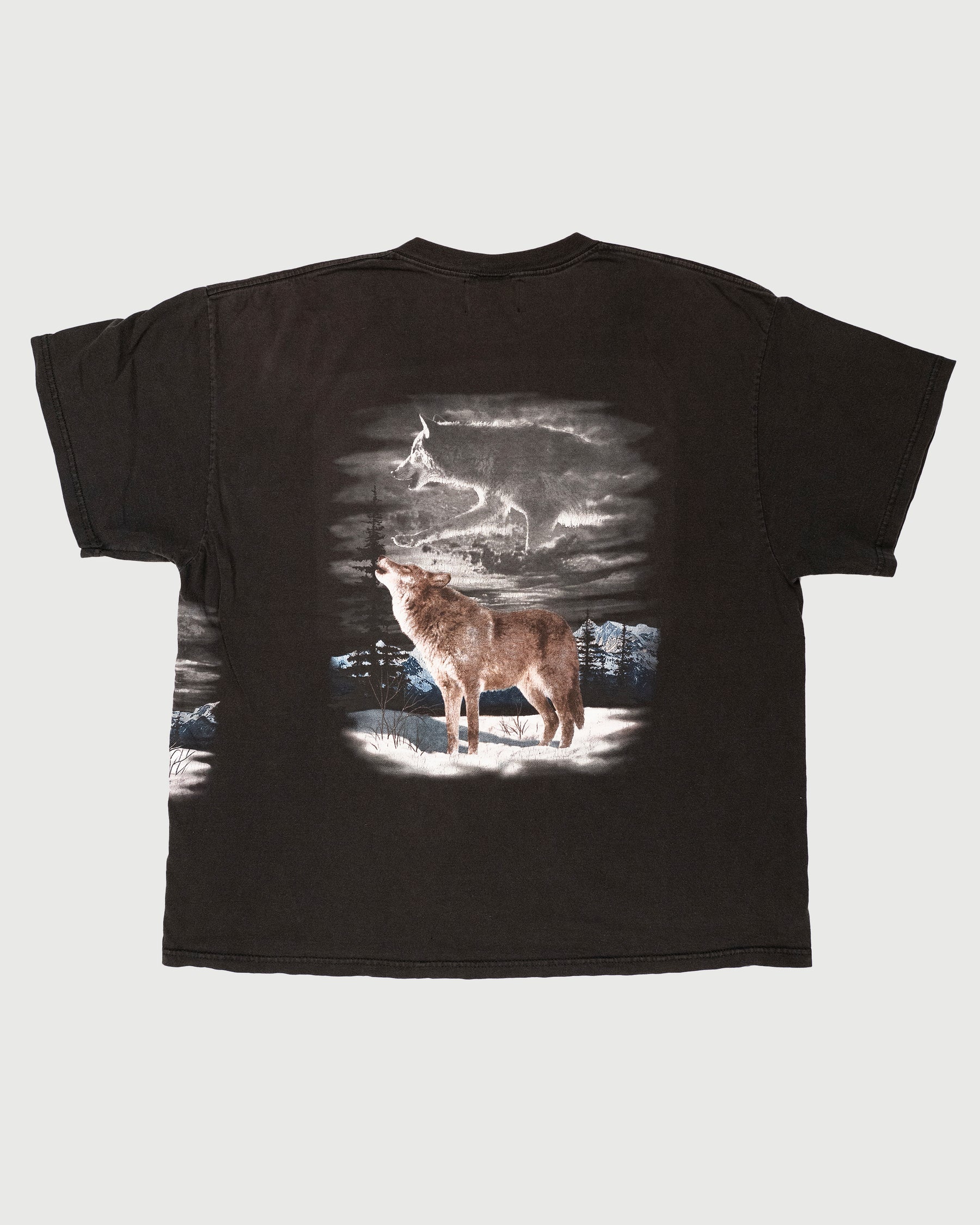VINTAGE NOCTURNAL ANIMALS TEE (XXL)